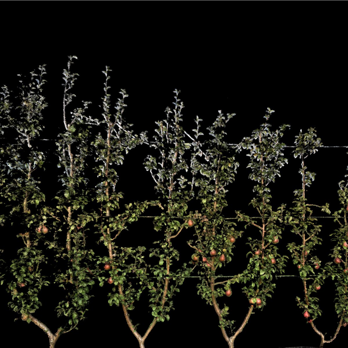 AI-powered Phenotyping